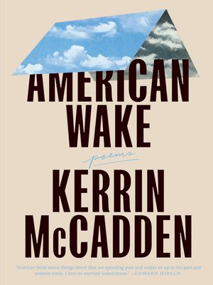 cover image of American Wake